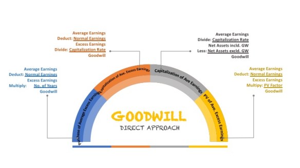 Intangible Asset and Goodwill (Application Summary) | REIBORN